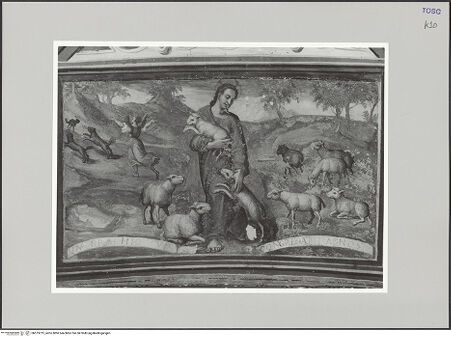 Vorderseite von bh575215_recto