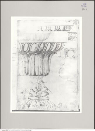 Vorderseite von Istituto Nazionale per la Grafica [https://www.deutsche-digitale-bibliothek.de/content/lizenzen/rv-ez/] Codice A (2501 A)Trajansthermen?, Basis im Profil, Aufriss und Untersicht des Kapitells und Akanthusornament an der Abakus-Unterseite - , bh575385_recto. Foto.