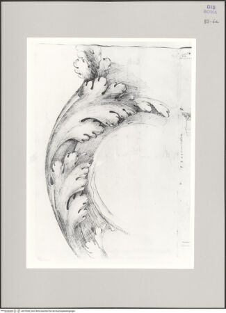 Vorderseite von Istituto Nazionale per la Grafica [https://www.deutsche-digitale-bibliothek.de/content/lizenzen/rv-ez/] Codice A (2501 A)Akanthusornament von der Porta di San Giorgio in Velabro - , bh575390_recto. Foto.