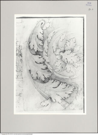 Vorderseite von Istituto Nazionale per la Grafica [https://www.deutsche-digitale-bibliothek.de/content/lizenzen/rv-ez/] Codice A (2501 A)Akanthusornament von der Porta di San Giorgio in Velabro - , bh575391_recto. Foto.