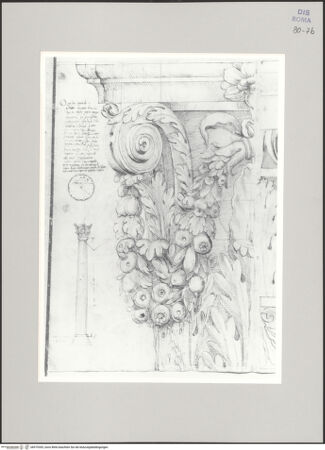 Vorderseite von Istituto Nazionale per la Grafica [https://www.deutsche-digitale-bibliothek.de/content/lizenzen/rv-ez/] Codice A (2501 A)San Giovanni in Laterano, Baptisterium, Aufriss eines Kapitells, einer Säule und Schnitt durch ihren Schaft; Grundriss des Abakus - , bh575393_recto. Foto.