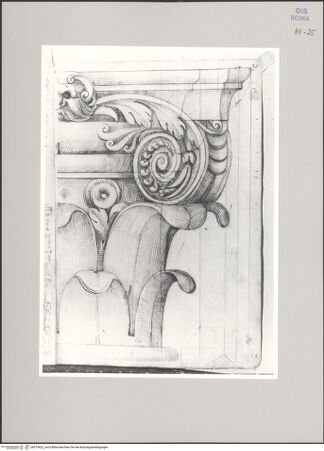 Vorderseite von Istituto Nazionale per la Grafica [https://www.deutsche-digitale-bibliothek.de/content/lizenzen/rv-ez/] Codice A (2501 A)Blattkranz und Volute eines Kompositkapitells - , bh575422_recto. Foto.