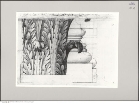 Vorderseite von Istituto Nazionale per la Grafica [https://www.deutsche-digitale-bibliothek.de/content/lizenzen/rv-ez/] Codice A (2501 A)Blattkranz eines korinthischen Kapitells im Aufriss; Profil zweier Basen - , bh575429_recto. Foto.