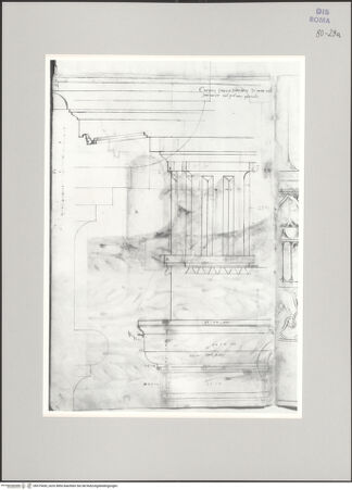 Vorderseite von Istituto Nazionale per la Grafica [https://www.deutsche-digitale-bibliothek.de/content/lizenzen/rv-ez/] Codice A (2501 A)Marcellustheater, Aufriss eines dorischen Gebälkes mit Detailansicht des Kapitells im Profil; Maßstab - , bh575430_recto. Foto.