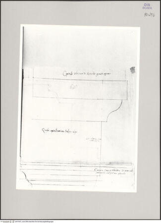 Vorderseite von Istituto Nazionale per la Grafica [https://www.deutsche-digitale-bibliothek.de/content/lizenzen/rv-ez/] Codice A (2501 A)Marcellustheater, dorisches Kapitell und Gesims im Profil - , bh575431_recto. Foto.