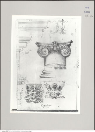 Vorderseite von Istituto Nazionale per la Grafica [https://www.deutsche-digitale-bibliothek.de/content/lizenzen/rv-ez/] Codice A (2501 A)Aufriss eines Architravprofils; Skizze eines Lotos-Akanthusfrieses; Santa Maria Maggiore, Portikus, Ionische Basis und Kapitell im Aufriss; Konsole mit Drachen; - , bh575441_recto. Foto.