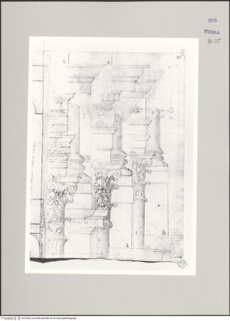 Vorderseite von Istituto Nazionale per la Grafica [https://www.deutsche-digitale-bibliothek.de/content/lizenzen/rv-ez/] Codice A (2501 A)Septizonium, architektonische Elemente der drei Ordnungen - , bh575442_recto. Foto.