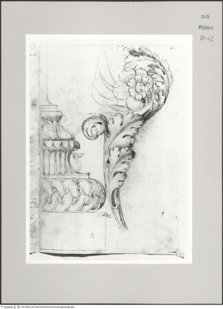 Vorderseite von Istituto Nazionale per la Grafica [https://www.deutsche-digitale-bibliothek.de/content/lizenzen/rv-ez/] Codice A (2501 A)Attische Säulenbasis; Akanthusornament mit Rosette - , bh575454_recto. Foto.