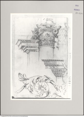 Vorderseite von Istituto Nazionale per la Grafica [https://www.deutsche-digitale-bibliothek.de/content/lizenzen/rv-ez/] Codice A (2501 A)San Cosimato, Kapitell und Gesims; Santissimi Quattro Coronati, Gesims; Akanthusornament - , bh575459_recto. Foto.