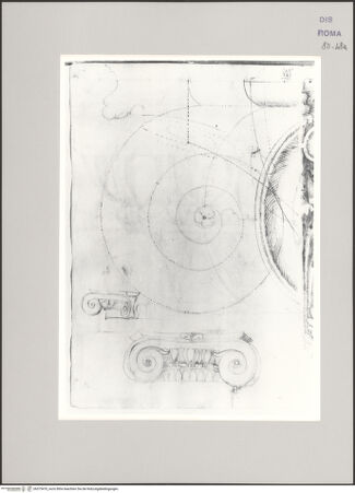 Vorderseite von Istituto Nazionale per la Grafica [https://www.deutsche-digitale-bibliothek.de/content/lizenzen/rv-ez/] Codice A (2501 A)Ionisches Kapitell Teil des Grundrisses der Voluten; Ecklösung und Seitenansicht; Aufriss einer Volute - , bh575470_recto. Foto.