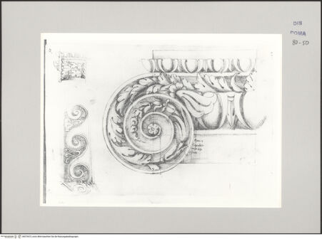 Vorderseite von Istituto Nazionale per la Grafica [https://www.deutsche-digitale-bibliothek.de/content/lizenzen/rv-ez/] Codice A (2501 A)Pilasterkapitell, gefunden im Weinberg von Santi Quattro Coronati in Aufriss und Seitenansicht der Volute; Santissima Trinità dei Monti, Fries - , bh575473_recto. Foto.
