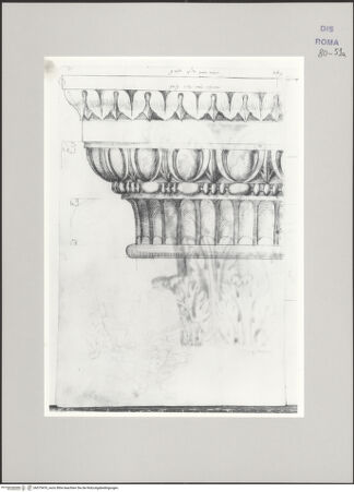 Vorderseite von Istituto Nazionale per la Grafica [https://www.deutsche-digitale-bibliothek.de/content/lizenzen/rv-ez/] Codice A (2501 A)Kapitell, Abakusplatten von unten gesehen, Dekoratives Architekturornament (Rahmen?) mit Bukranien, Festons und einer Muschel - , bh575476_recto. Foto.