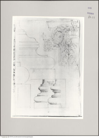 Vorderseite von Istituto Nazionale per la Grafica [https://www.deutsche-digitale-bibliothek.de/content/lizenzen/rv-ez/] Codice A (2501 A)Basis und Kompositkapitell eines Pilasters (damals im Palazzo Farnese befindlich); Santo Stefano, zwei Säulenbasen; Maßstab - , bh575479_recto. Foto.