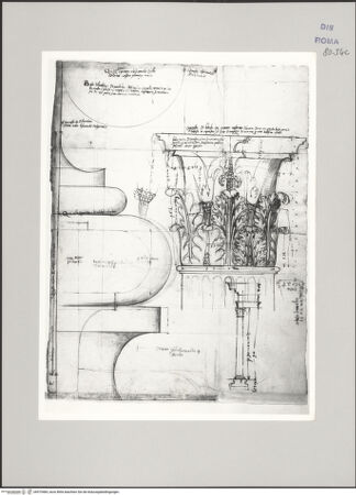 Vorderseite von Istituto Nazionale per la Grafica [https://www.deutsche-digitale-bibliothek.de/content/lizenzen/rv-ez/] Codice A (2501 A)Tempel des Iupiter Serapis, Kapitell, Basis im Profil, Portikus im Profil - , bh575484_recto. Foto.