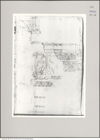 Vorderseite von Istituto Nazionale per la Grafica [https://www.deutsche-digitale-bibliothek.de/content/lizenzen/rv-ez/] Codice A (2501 A)Tempel des Iupiter Serapis, Gesims und Fries im Aufriss - , bh575487_recto. Foto.