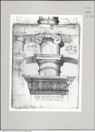 Vorderseite von Istituto Nazionale per la Grafica [https://www.deutsche-digitale-bibliothek.de/content/lizenzen/rv-ez/] Codice B (2501 B)Kolosseum, architektonische Details der vier Ordnungen (unterer Teil) - , bh575503_recto. Foto.