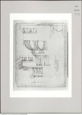 Vorderseite von Istituto Nazionale per la Grafica [https://www.deutsche-digitale-bibliothek.de/content/lizenzen/rv-ez/] Codice B (2501 B)Dorisches Kapitell, Gesims, Säulenbasis und Diagramm der Kannelur, Skizze eines ionischen Kapitells - , bh575518_recto. Foto.