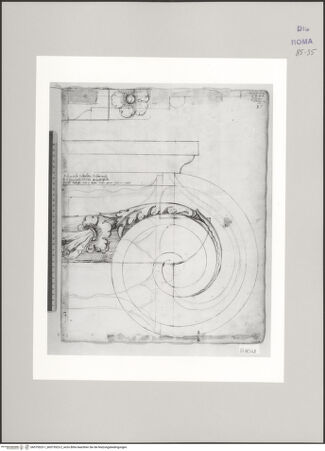 Vorderseite von bh575523-1_bh575523-2_recto