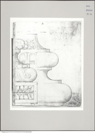 Vorderseite von Istituto Nazionale per la Grafica [https://www.deutsche-digitale-bibliothek.de/content/lizenzen/rv-ez/] Codice B (2501 B)Zwei attische Basen und ein korinthisches Kapitell - , bh575529_recto. Foto.