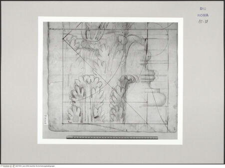 Vorderseite von Istituto Nazionale per la Grafica [https://www.deutsche-digitale-bibliothek.de/content/lizenzen/rv-ez/] Codice B (2501 B)Korinthisches Kapitell, unterer Teil im Aufriss, Grundriss des Abakus - , bh575531_recto. Foto.