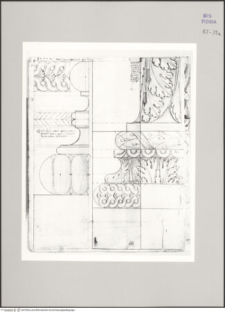 Vorderseite von Istituto Nazionale per la Grafica [https://www.deutsche-digitale-bibliothek.de/content/lizenzen/rv-ez/] Codice B (2501 B)Tempel des Mars Ultor, ornamentierte ionische Basis; Ornamentierte Säulenbasis - , bh575534_recto. Foto.