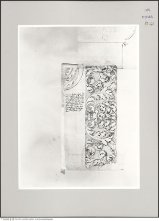 Vorderseite von Istituto Nazionale per la Grafica [https://www.deutsche-digitale-bibliothek.de/content/lizenzen/rv-ez/] Codice B (2501 B)Antiker Akanthusfries, wiederverwendet über einer Tür in Trastevere und Kapitell im Profil - , bh575541_recto. Foto.