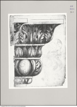 Vorderseite von Istituto Nazionale per la Grafica [https://www.deutsche-digitale-bibliothek.de/content/lizenzen/rv-ez/] Codice D (2504)Aufriss eines Gesimses - , bh575572_recto. Foto.