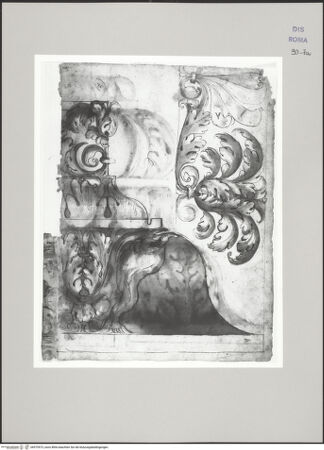 Vorderseite von Istituto Nazionale per la Grafica [https://www.deutsche-digitale-bibliothek.de/content/lizenzen/rv-ez/] Codice D (2504)Aufriss eines Gesimses mit Delphinen (Fortsetzung auf fol. 7 bis), Detail des Frieses mit Akanthusranken und Palmetten im Wechsel - , bh575573_recto. Foto.