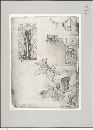 Vorderseite von Istituto Nazionale per la Grafica [https://www.deutsche-digitale-bibliothek.de/content/lizenzen/rv-ez/] Codice D (2504)Villa Hadriana in Tivoli, sog. Teatro Marittimo, Skizze des Grundrisses, Aufriss des Konsolgesimses und Putto im Wagen aus dem Friesornament (Fortsetzung auf fol. 9 r), Akanthusornament einer Konsole - , bh575575_recto. Foto.