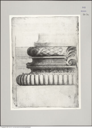 Vorderseite von Istituto Nazionale per la Grafica [https://www.deutsche-digitale-bibliothek.de/content/lizenzen/rv-ez/] Codice D (2504)Aufriss einer ornamentierten ionischen Basis - , bh575577_recto. Foto.