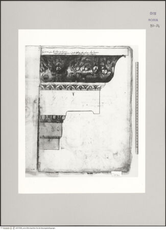 Vorderseite von Istituto Nazionale per la Grafica [https://www.deutsche-digitale-bibliothek.de/content/lizenzen/rv-ez/] Codice D (2504)San Pietro in Vaticano, wiederverwendetes Gesims aus dem Hadrianeum (heute Castel Sant'Angelo) - , bh575585_recto. Foto.