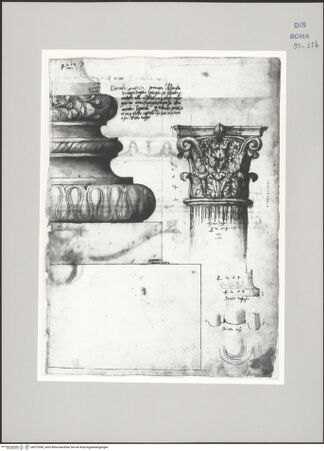 Vorderseite von Istituto Nazionale per la Grafica [https://www.deutsche-digitale-bibliothek.de/content/lizenzen/rv-ez/] Codice D (2504)Clivus Capitolinus, ornamentierte ionische Basis; Porticus Deorum Consentium, Kapitell und unterer Schaftansatz, Grundriss der Kannelur - , bh575590_recto. Foto.