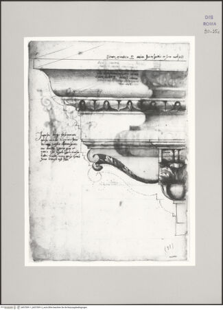 Vorderseite von bh575591-1_bh575591-2_recto