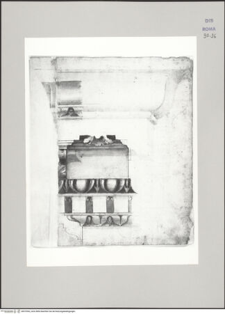 Vorderseite von Istituto Nazionale per la Grafica [https://www.deutsche-digitale-bibliothek.de/content/lizenzen/rv-ez/] Codice D (2504)Konsolgesims, aufgefunden auf dem Kapitol (Fortsetzung von fo. 15 bis v) - , bh575592_recto. Foto.