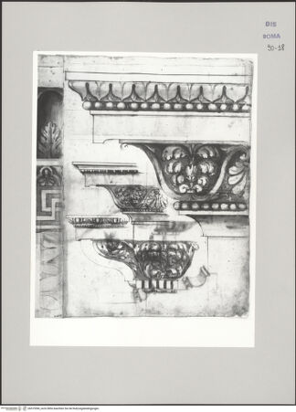 Vorderseite von Istituto Nazionale per la Grafica [https://www.deutsche-digitale-bibliothek.de/content/lizenzen/rv-ez/] Codice D (2504)Aufriss dreier ornamentierter Gesimse - , bh575596_recto. Foto.