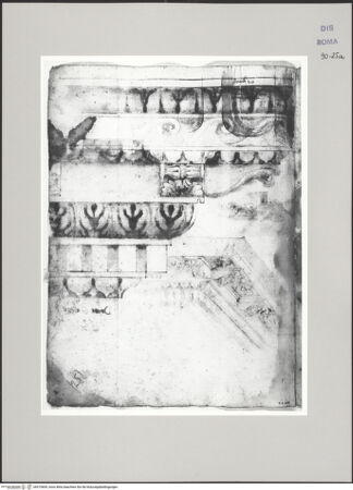 Vorderseite von Istituto Nazionale per la Grafica [https://www.deutsche-digitale-bibliothek.de/content/lizenzen/rv-ez/] Codice D (2504)Aufriss der Kanneluren von fol. 26 r - , bh575609_recto. Foto.