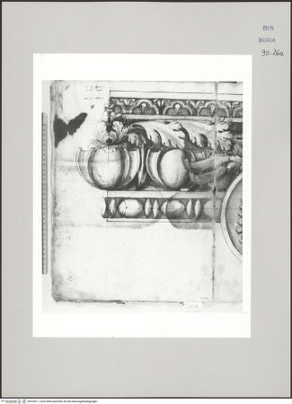 Vorderseite von Istituto Nazionale per la Grafica [https://www.deutsche-digitale-bibliothek.de/content/lizenzen/rv-ez/] Codice D (2504)Ionisches Kapitell im Aufriss (Fortsetzung auf fol. 27 r) - , bh575611_recto. Foto.