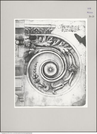 Vorderseite von Istituto Nazionale per la Grafica [https://www.deutsche-digitale-bibliothek.de/content/lizenzen/rv-ez/] Codice D (2504)Ionisches Kapitell im Aufriss (Fortsetzung von fol. 26 v) - , bh575612_recto. Foto.