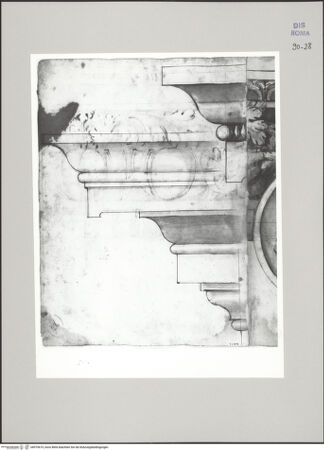 Vorderseite von Istituto Nazionale per la Grafica [https://www.deutsche-digitale-bibliothek.de/content/lizenzen/rv-ez/] Codice D (2504)Profil eines glatten Gesimses; Aufriss eines ornamentierten Gesimses (Fortsetzung auf fol. 29 r) - , bh575615_recto. Foto.