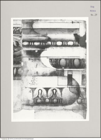 Vorderseite von Istituto Nazionale per la Grafica [https://www.deutsche-digitale-bibliothek.de/content/lizenzen/rv-ez/] Codice D (2504)Aufriss eines ornamentierten Gesimses (Fortsetzung von fol. 28 v) mit Detail des Kyma - , bh575616_recto. Foto.