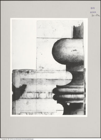 Vorderseite von Istituto Nazionale per la Grafica [https://www.deutsche-digitale-bibliothek.de/content/lizenzen/rv-ez/] Codice D (2504)Ionische Säulenbasis im Aufriss (Fortsetzung von fol. 29 v) - , bh575618_recto. Foto.