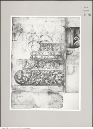 Vorderseite von Istituto Nazionale per la Grafica [https://www.deutsche-digitale-bibliothek.de/content/lizenzen/rv-ez/] Codice D (2504)Ornamentierte ionische Basis im Aufriss (heute in Santa Maria in Trastevere) - , bh575621_recto. Foto.