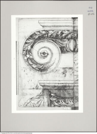 Vorderseite von Istituto Nazionale per la Grafica [https://www.deutsche-digitale-bibliothek.de/content/lizenzen/rv-ez/] Codice C (2502)Ionisches Kapitell, Aufriss in Vorder- und Seitenansicht - , bh575631_recto. Foto.