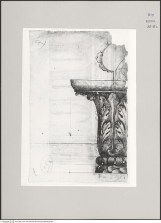 Vorderseite von Istituto Nazionale per la Grafica [https://www.deutsche-digitale-bibliothek.de/content/lizenzen/rv-ez/] Codice C (2502)Ionisches Kapitell, Aufriss in Seitenansicht - , bh575632_recto. Foto.