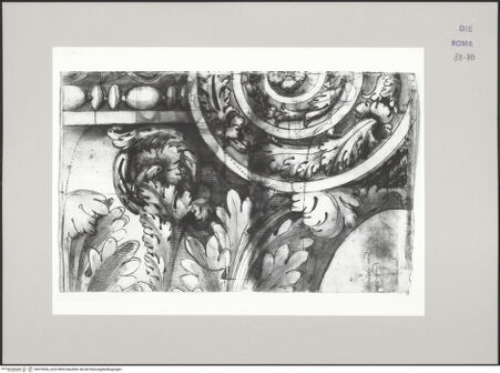 Vorderseite von Istituto Nazionale per la Grafica [https://www.deutsche-digitale-bibliothek.de/content/lizenzen/rv-ez/] Codice C (2502)Septimius-Severus-Bogen, Aufriss des Kompositkapitells im Originalmaßstab - , bh575636_recto. Foto.