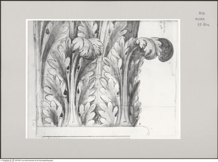 Vorderseite von Istituto Nazionale per la Grafica [https://www.deutsche-digitale-bibliothek.de/content/lizenzen/rv-ez/] Codice C (2502)Septimius-Severus-Bogen, Aufriss des Kompositkapitells im Originalmaßstab - , bh575637_recto. Foto.