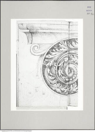 Vorderseite von Istituto Nazionale per la Grafica [https://www.deutsche-digitale-bibliothek.de/content/lizenzen/rv-ez/] Codice C (2502)Septimius-Severus-Bogen, Aufriss der oberen Hälfte des Kapitells im Originalmaßstab (Fortsetzung auf fol. 75 r) - , bh575651_recto. Foto.