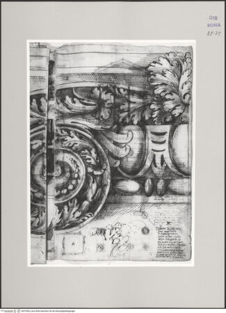 Vorderseite von Istituto Nazionale per la Grafica [https://www.deutsche-digitale-bibliothek.de/content/lizenzen/rv-ez/] Codice C (2502)Septimius-Severus-Bogen, Aufriss der oberen Hälfte des Kapitells im Originalmaßstab (Fortsetzung von fol. 74 v) - , bh575652_recto. Foto.