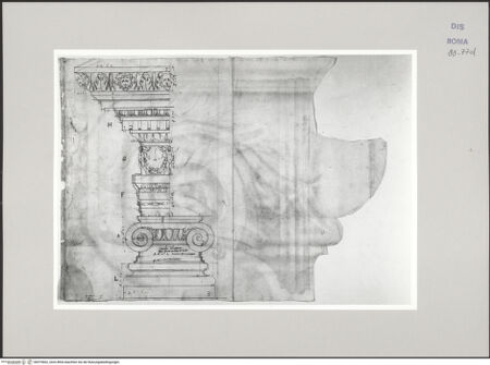 Vorderseite von Istituto Nazionale per la Grafica [https://www.deutsche-digitale-bibliothek.de/content/lizenzen/rv-ez/] Codice C (2502)Forum Boarium, Tempel des Portunus, Aufriss von Basis, Kapitell und Architrav des Tempels - , bh575662_recto. Foto.