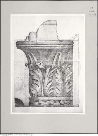 Vorderseite von Istituto Nazionale per la Grafica [http://creativecommons.org/publicdomain/mark/1.0/] Codice C (2502)Forum Boarium, Tempel des Portunus, ionisches Kapitell, Aufriss der Volute in Seitenansicht - , bh575663_recto. Foto.
